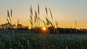 Mazury 2023, na różnych zdjęciach z szuflady - zdjęcie 13