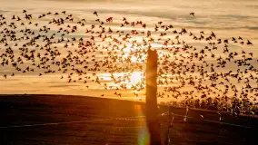 Zwierzęta i ptaki na zdjęciach z szuflady, 2023 rok - zdjęcie 17