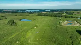 Zwierzęta i ptaki na zdjęciach z szuflady, 2023 rok - zdjęcie 34