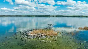 Zwierzęta i ptaki na zdjęciach z szuflady, 2023 rok - zdjęcie 21