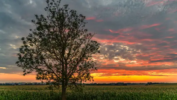 Zachód słońca na wschodnich obrzeżach Kętrzyna, sierpień 2023 r.