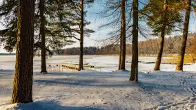 Zimowy spacer nad jeziorem Gołdopiwo niedaleko Żabinki, styczeń 2024 r. - zdjęcie 1