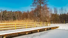 Zimowy spacer nad jeziorem Gołdopiwo niedaleko Żabinki, styczeń 2024 r. - zdjęcie 15