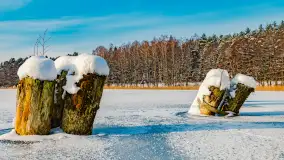 Zimowy spacer nad jeziorem Gołdopiwo niedaleko Żabinki, styczeń 2024 r. - zdjęcie 6