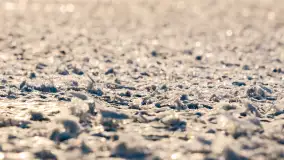 Zimowy spacer nad jeziorem Gołdopiwo niedaleko Żabinki, styczeń 2024 r. - zdjęcie 20