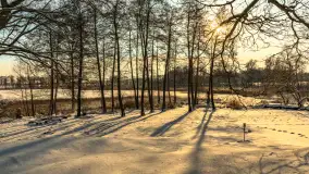 Zima nad jeziorem Dziewiszewskie w Dziewiszowie, styczeń 2024 r. - zdjęcie 6