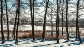 Zima nad jeziorem Dziewiszewskie w Dziewiszowie, styczeń 2024 r. - zdjęcie 11