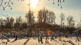 Zima nad jeziorem Dziewiszewskie w Dziewiszowie, styczeń 2024 r. - zdjęcie 27