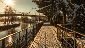 Pisz w zimowej scenerii, styczeń 2024 r. - zdjęcie 10