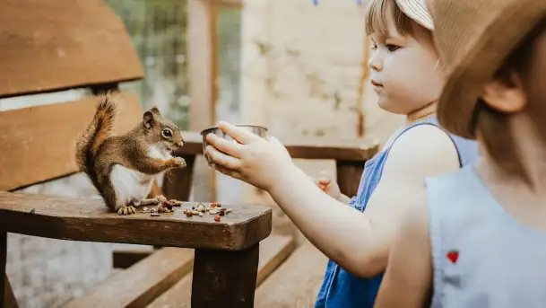 Zdjęcia: Odkryj Niezwykłe Zimowe Ferie w Papugarni Mazury! - zdjęcie 4
