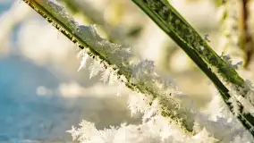 Zimowa rzeka Dajna niedaleko Wilkowa, styczeń 2024 r. - zdjęcie 23