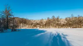 Zimowa rzeka Dajna niedaleko Wilkowa, styczeń 2024 r. - zdjęcie 16