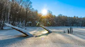 Zimowa rzeka Dajna niedaleko Wilkowa, styczeń 2024 r. - zdjęcie 3