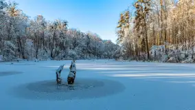 Zimowa rzeka Dajna niedaleko Wilkowa, styczeń 2024 r. - zdjęcie 1