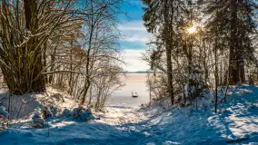 Zimowe jezioro Gołdopiwo w okolicach Przerwanek, styczeń 2024 r. - zdjęcie 6