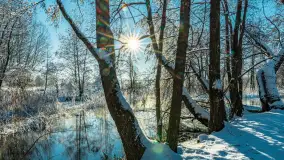 Zima nad rzeką Dajna, witajcie na bajecznych Mazurach, styczeń 2024 r. - zdjęcie 27