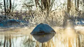 Zima nad rzeką Dajna, witajcie na bajecznych Mazurach, styczeń 2024 r. - zdjęcie 51