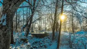 Zima nad rzeką Dajna, witajcie na bajecznych Mazurach, styczeń 2024 r. - zdjęcie 13