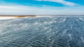 Zima nad jeziorem Dargin, styczeń 2024 r. - zdjęcie 19