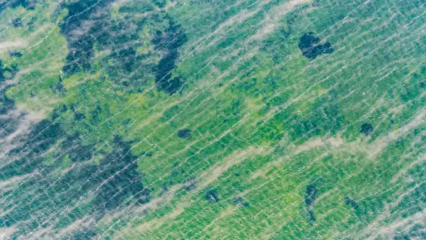 Zima nad jeziorem Dargin, styczeń 2024 r. - zdjęcie 6