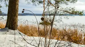 Biwak ekipy Mazury24 nad jeziorem Kruklin, styczeń 2024 r. - zdjęcie 15