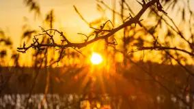 Wschód słońca z resztkami zimy nad jeziorem Siercze, styczeń 2024 r. - zdjęcie 14