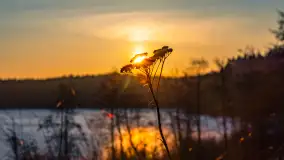 Wschód słońca z resztkami zimy nad jeziorem Siercze, styczeń 2024 r. - zdjęcie 22