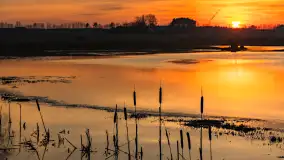 Mazurski zachód słońca odbity w rozlewiskach, luty 2024 r. - zdjęcie 29