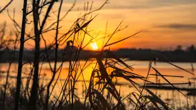 Mazurski zachód słońca odbity w rozlewiskach, luty 2024 r. - zdjęcie 24