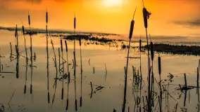 Mazurski zachód słońca odbity w rozlewiskach, luty 2024 r. - zdjęcie 14