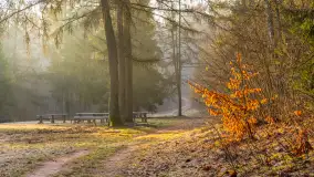 Wschód słońca nad jeziorem Wydmińskim, luty 2024 r. - zdjęcie 28