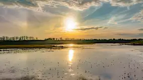 Przedwiośnie i mazurskie rozlewiska na polach i łąkach, luty 2024 r. - zdjęcie 2