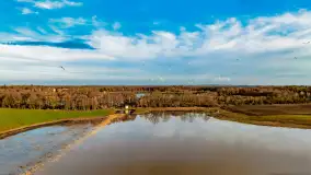 Przedwiośnie i mazurskie rozlewiska na polach i łąkach, luty 2024 r. - zdjęcie 25