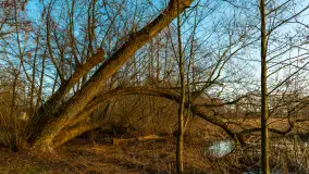 Zachód słońca nad Niegocinem, luty 2024 r. - zdjęcie 15