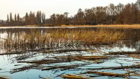 Zachód słońca nad Niegocinem, luty 2024 r. - zdjęcie 3