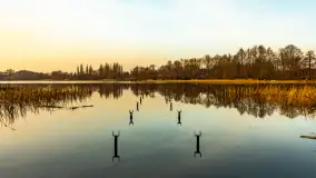 Zachód słońca nad Niegocinem, luty 2024 r. - zdjęcie 41