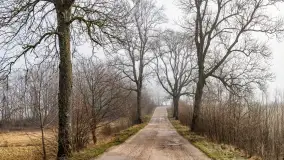 Mgliste Mazury, luty 2024 r. - zdjęcie 9