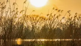 Przed zachodem słońca nad jeziorem Grajewko, luty 2024 r. - zdjęcie 22