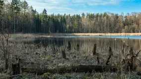 Jezioro Jagoczany, przedwiośnie, marzec 2024 r.  - zdjęcie 23