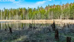 Jezioro Jagoczany, przedwiośnie, marzec 2024 r.  - zdjęcie 6
