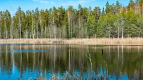 Jezioro Jagoczany, przedwiośnie, marzec 2024 r.  - zdjęcie 30