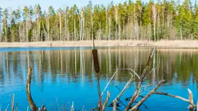 Jezioro Jagoczany, przedwiośnie, marzec 2024 r.  - zdjęcie 16