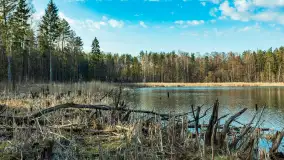 Jezioro Jagoczany, przedwiośnie, marzec 2024 r.  - zdjęcie 26