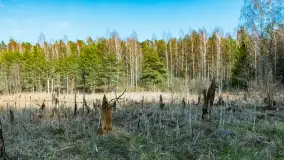 Jezioro Jagoczany, przedwiośnie, marzec 2024 r.  - zdjęcie 39