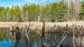 Jezioro Jagoczany, przedwiośnie, marzec 2024 r.  - zdjęcie 34
