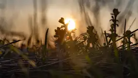 Zachód słońca nad stawami w Martianach, marzec 2024 r. - zdjęcie 36