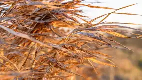 Zachód słońca nad stawami w Martianach, marzec 2024 r. - zdjęcie 8