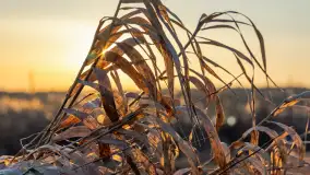 Zachód słońca nad stawami w Martianach, marzec 2024 r. - zdjęcie 24