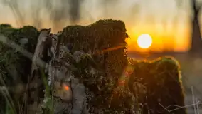 Zachód słońca nad stawami w Martianach, marzec 2024 r. - zdjęcie 30