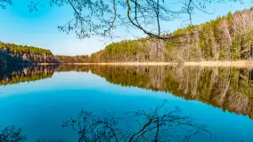 Marcowy dzień nad zatoką Skonał - zdjęcie 31